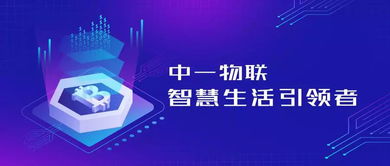 中一物聯應邀出席2019中意創新發展峰會，共筑南京科技名城新藍圖