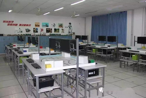 網絡連接世界，信息溝通心靈——北師大天津附中“生才”框架下的信息技術課探索