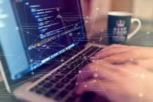 你真的適合學(xué)習(xí)編程嗎？信息科技領(lǐng)域技術(shù)開(kāi)發(fā)職業(yè)探索指南